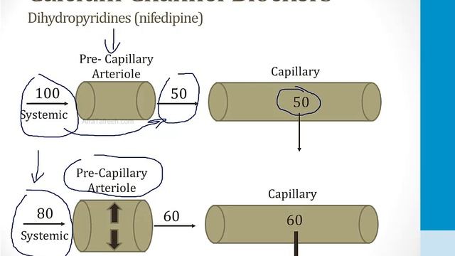 Cardiology - 8. Hypertension - 3.Hypertension Drugs atf