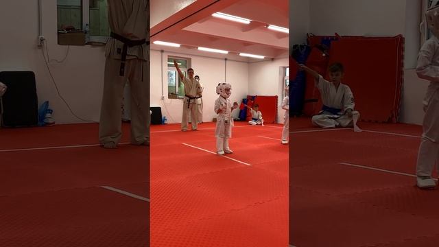 Соревнования по Карате Киокусинкай 24.12.2023