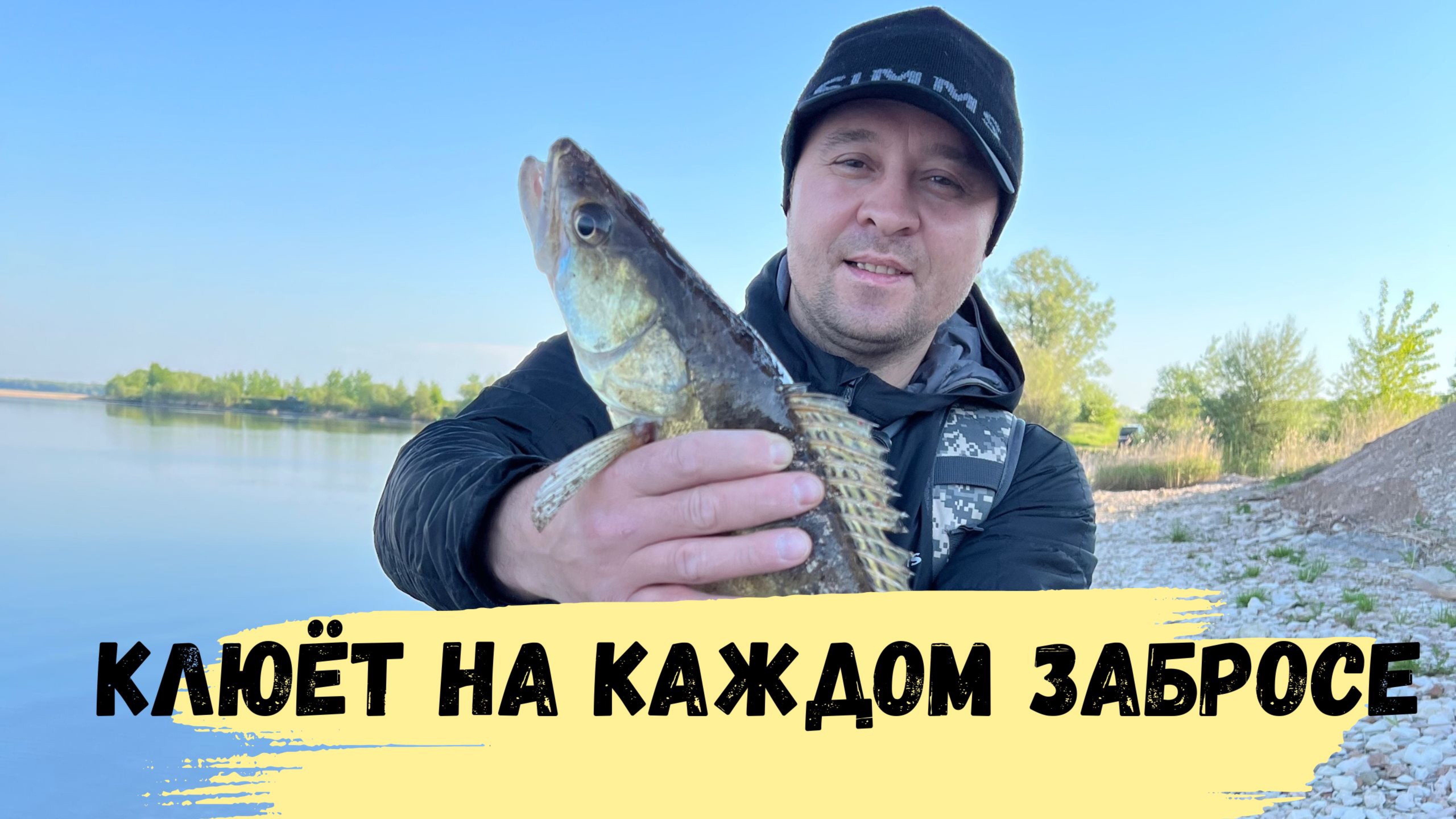 Нас выгнали с моста Судак клюёт один за другим