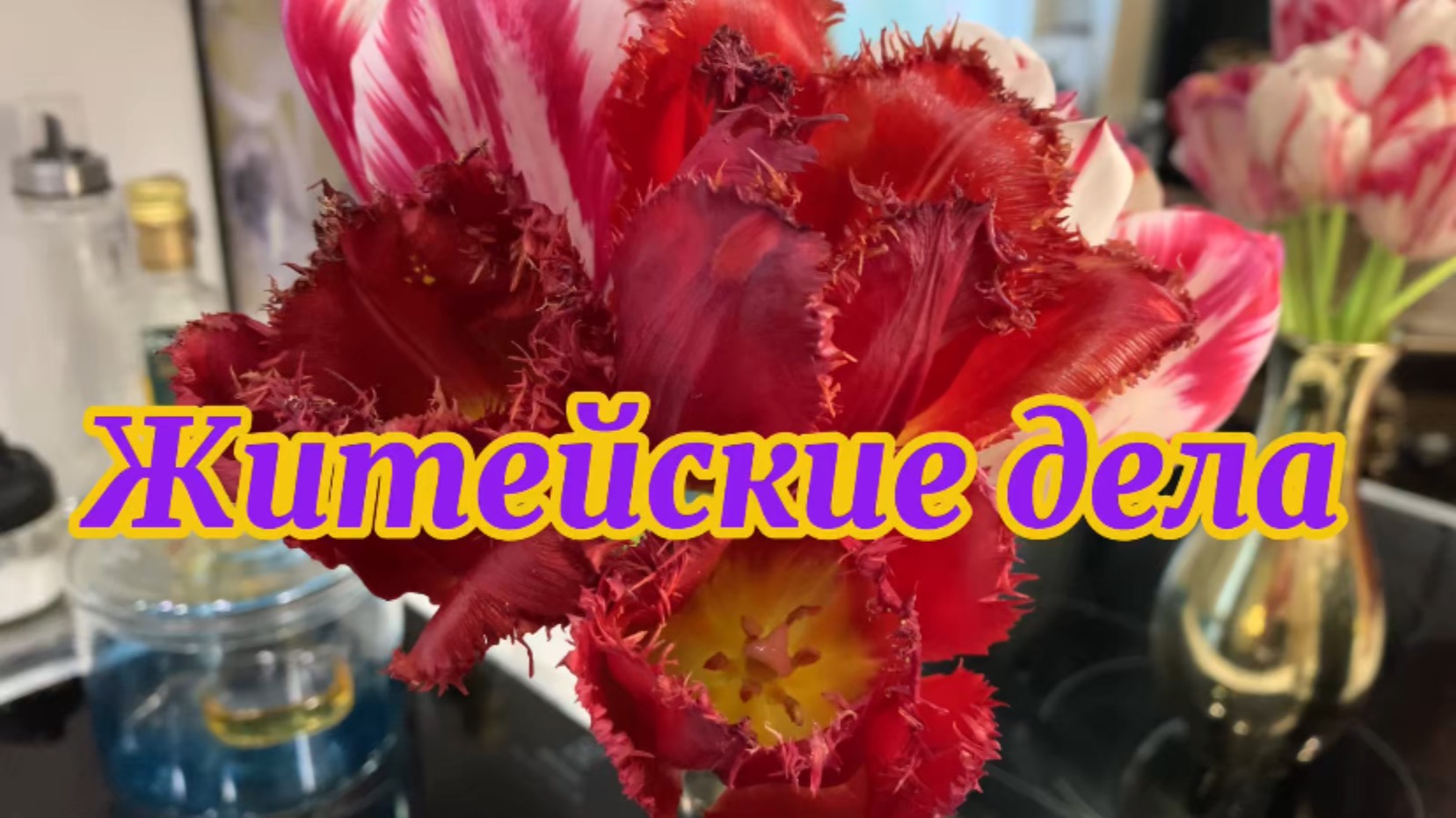 Дела житейские!