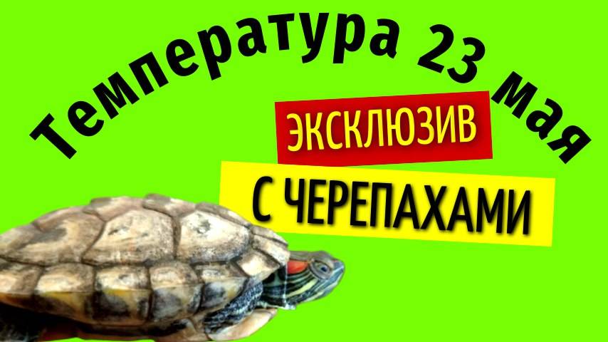23 мая температура