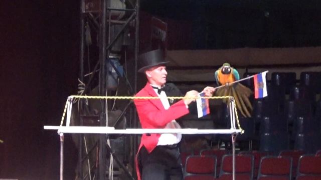 Лайк Настя (Like Nastya) - ВЛОГ Настя первый раз в цирке. Танцующие медведи и милые обезьянки