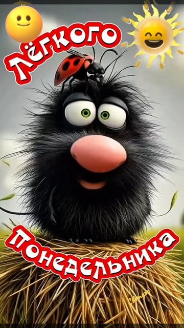 Доброе утро, ПОНЕДЕЛЬНИК! 🤗🤗🤗 19.05.2025г. Всем здоровья,  удачи, везения, счастья и позитива!