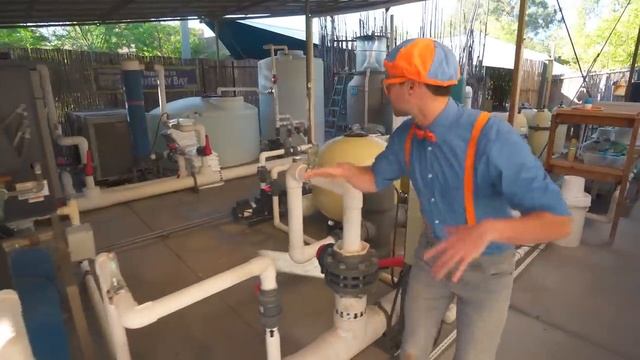 Блиппи (Blippi) - Блиппи посещает Зоопарк в Фениксе!   Блиппи на Русском   Изучай этот Мир вместе с
