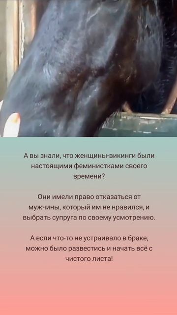 Женщины-викинги: свобода выбора и независимость 🤗🌺🌿