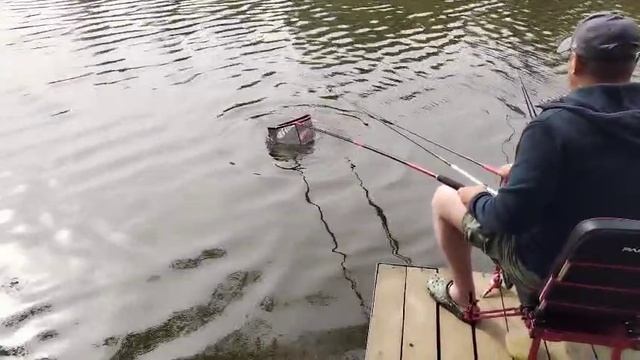Карпуша на кукурузу