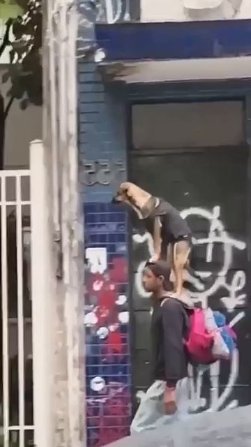 Ускоряемся, человек, ускоряемся. Мы опаздываем