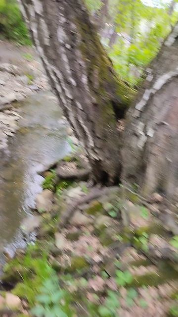 1002046079.mp4