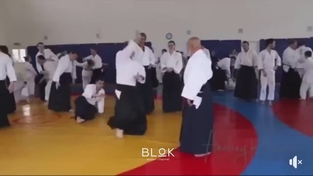 НЕПОБЕДИМЫЕ МАСТЕРА БЕСКОНТАКТНОГО БОЯ, КУНГ ФУ, АЙКИ?