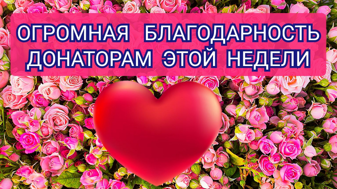 ОГРОМНАЯ БЛАГОДАРНОСТЬ ДОНАТОРАМ ЭТОЙ НЕДЕЛИ