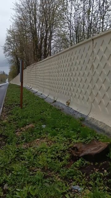 Ещё немного про усадьбу