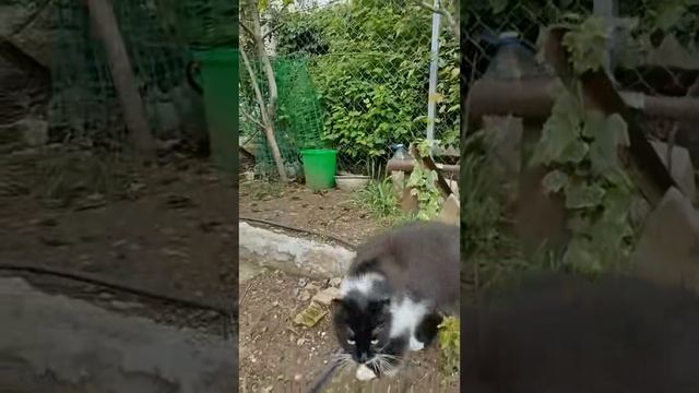 Ветролинии горизонтов: прогулка в краях ветра