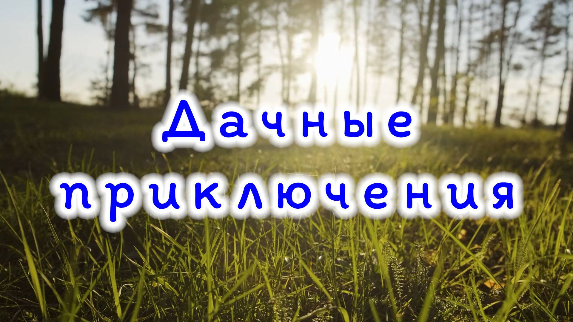 Дачные приключения