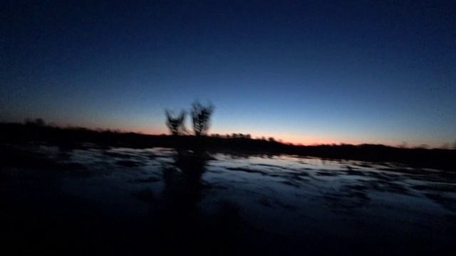 Весенняя охота на селезня с шалаша. Зашёл в гости в избушку из горбыля. Собрал брусничный лист