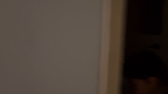 20241010_033319