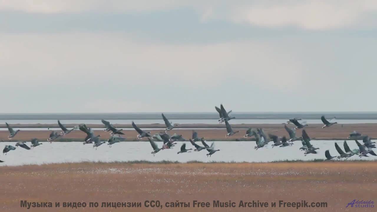 Сердце взлетает, а мысли исчезают при таких кадрах - E-Musik -- Phillip Gross -- Quart