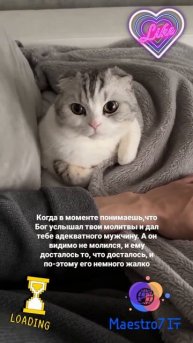 💡 Коротко о интересном ...