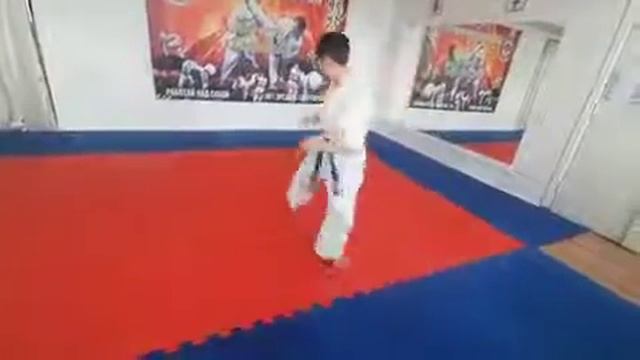 первое ката с руками