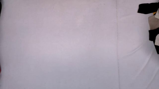 S-32. Микс Женский Италия Зима . Лот 15894. 29,7кг. 73ед.