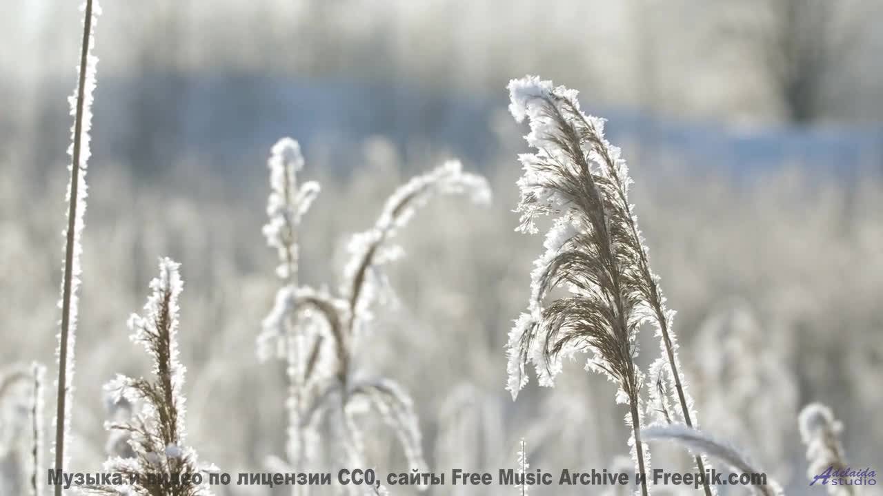 Музыка открывает мир заново на фоне этих красот - Design Yourself -- Blue Sky Moon -- Prophet and Lo