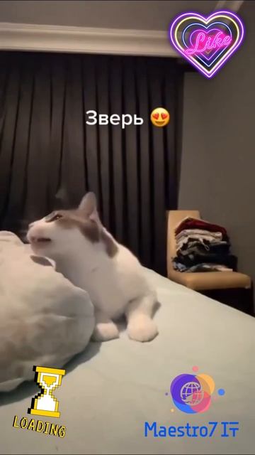 💡 Ути какой ...