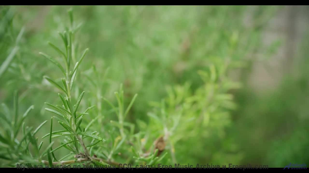 Океан звуков и бескрайние дали! - Good Kids Inst -- HoliznaRAPS -- Good Kids