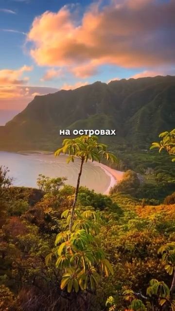 Подписывайтесь