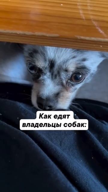 Всем кто кушает - приятного аппетита 🍽️