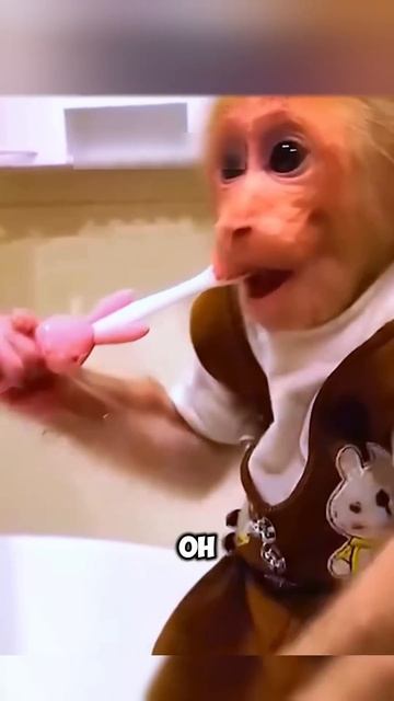 Забота как о сыне 🐒🐒 #животные #милыеживотные