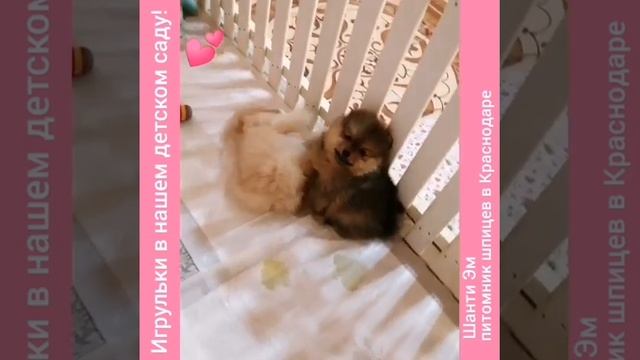 Игрульки наших малышей 🥰😉