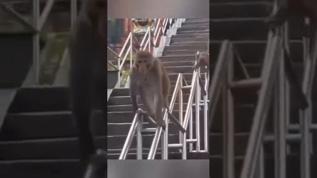1000006331.mp4