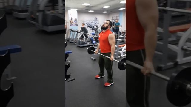 Сгибание рук со штангой 🏋️