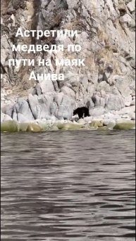 по пути на маяк Анива встретили медведя