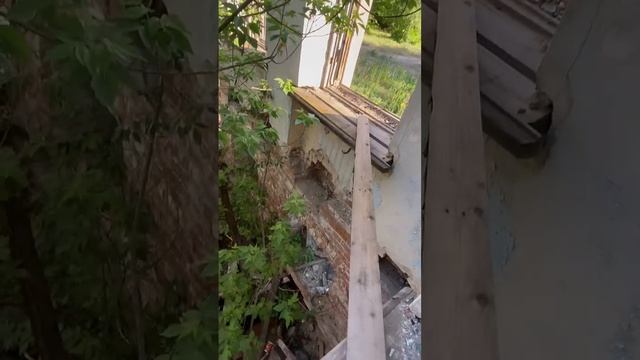 Видеозапись  из Волгограда