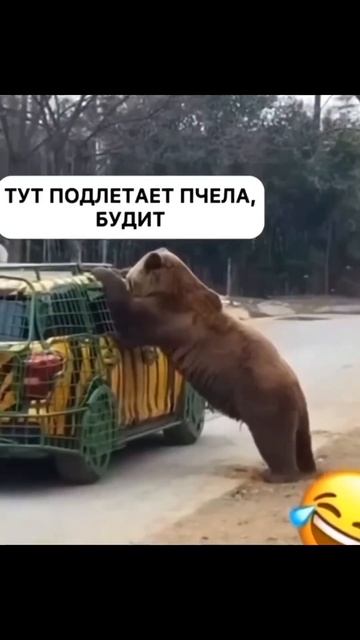 Смешно