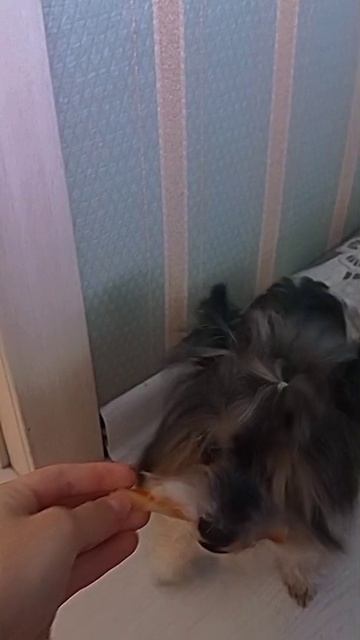 едем на дачу😊