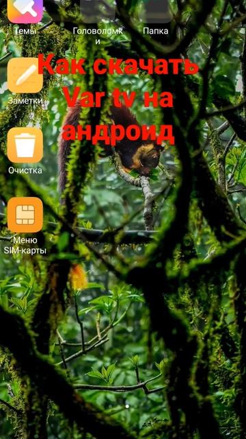 Как скачать Var TV На телефон