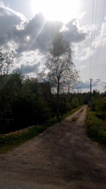 Дача