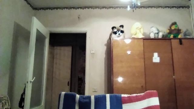 Распаковка Sweet Box