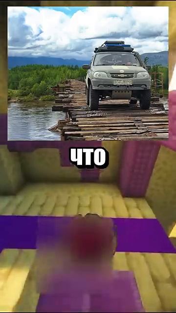 i11ushenka (1072)