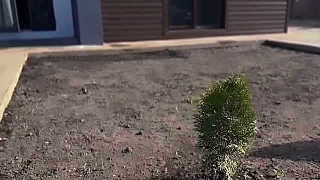 VID-20250518-WA0017