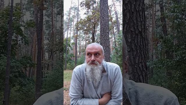 Доброго , Лесного 🌲 в стиле Цигун Тайцзи, Утра ! Осення