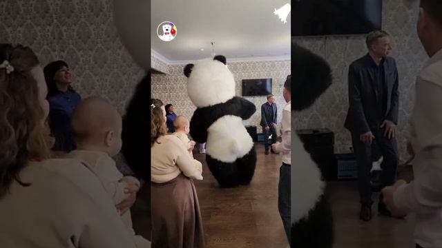 Душевно с танцами и обнимашками Панда Милаш поздравил Николая с Днём рождения)
#мишкаусинск
