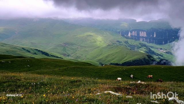 Ингердах Ахвахский район