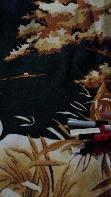 VID_20250518_195005.mp4