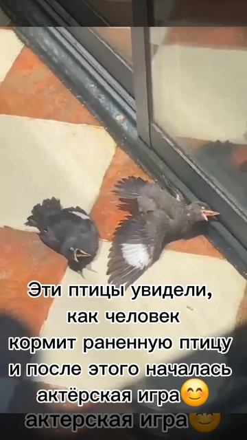 Верю)♡