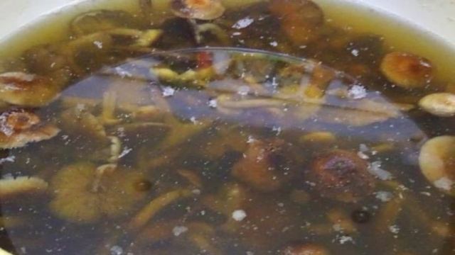 Бульон с опятами и домашней лапшой