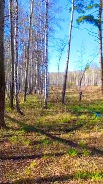 Неожиданная встреча
