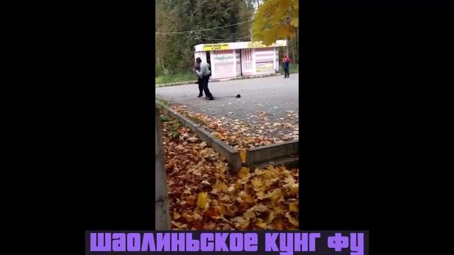 Песня  Шаолиньское кунг фу это круто