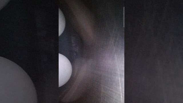 1000387736.mp4